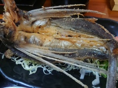 鹿児島県西之表市