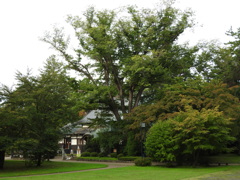 青森県弘前市