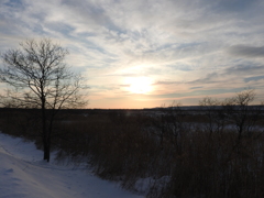 北海道川上郡標茶町