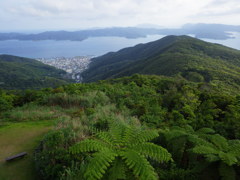 鹿児島県大島郡
