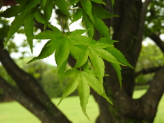 鹿児島県南九州市