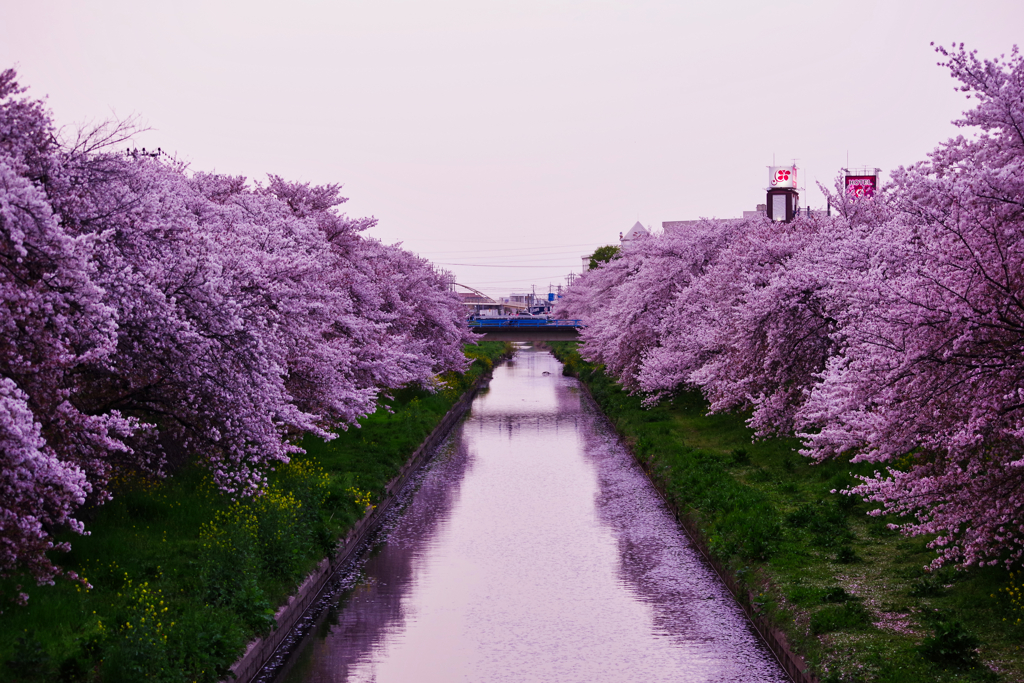 埼玉県川越市