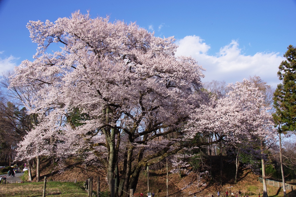 埼玉県大里郡寄居町