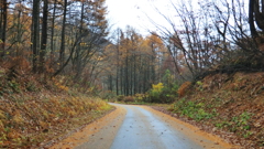 富山県富山市有峰