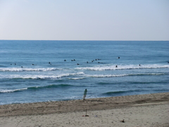  静岡県浜松市南区