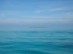 八重山諸島　近海