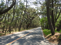 佐賀県唐津市
