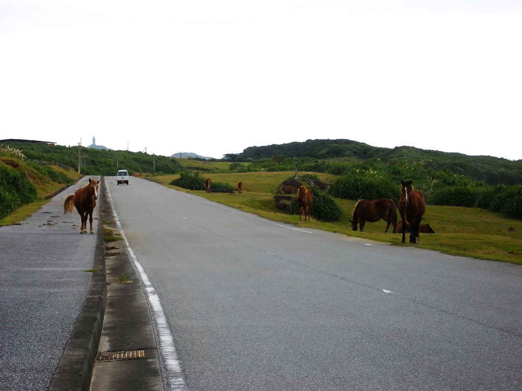 与那国島