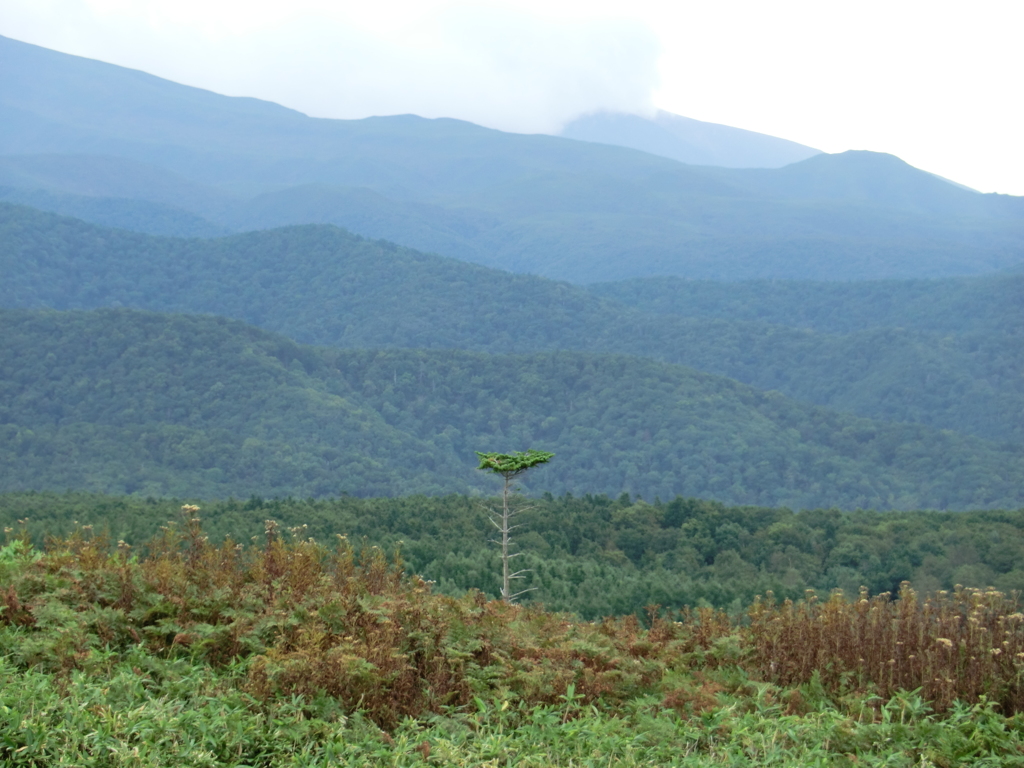 北海道斜里郡斜里町遠音別村