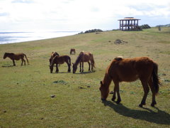 沖縄県八重山郡与那国町