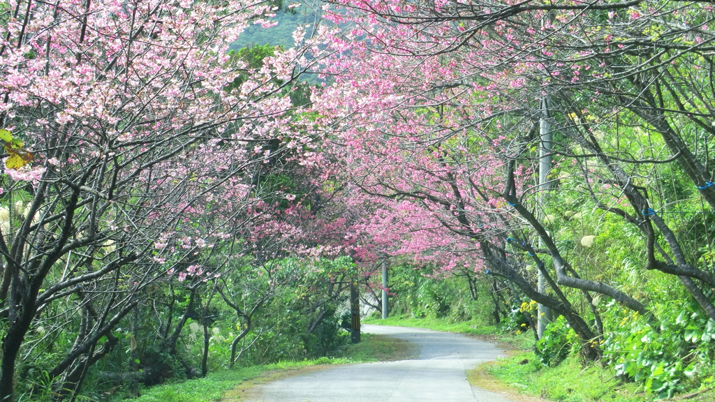 沖縄県島尻郡久米島町