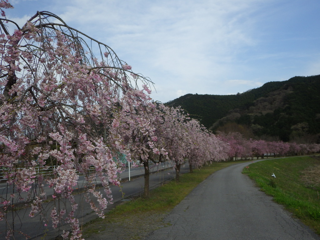 栃木県鹿沼市