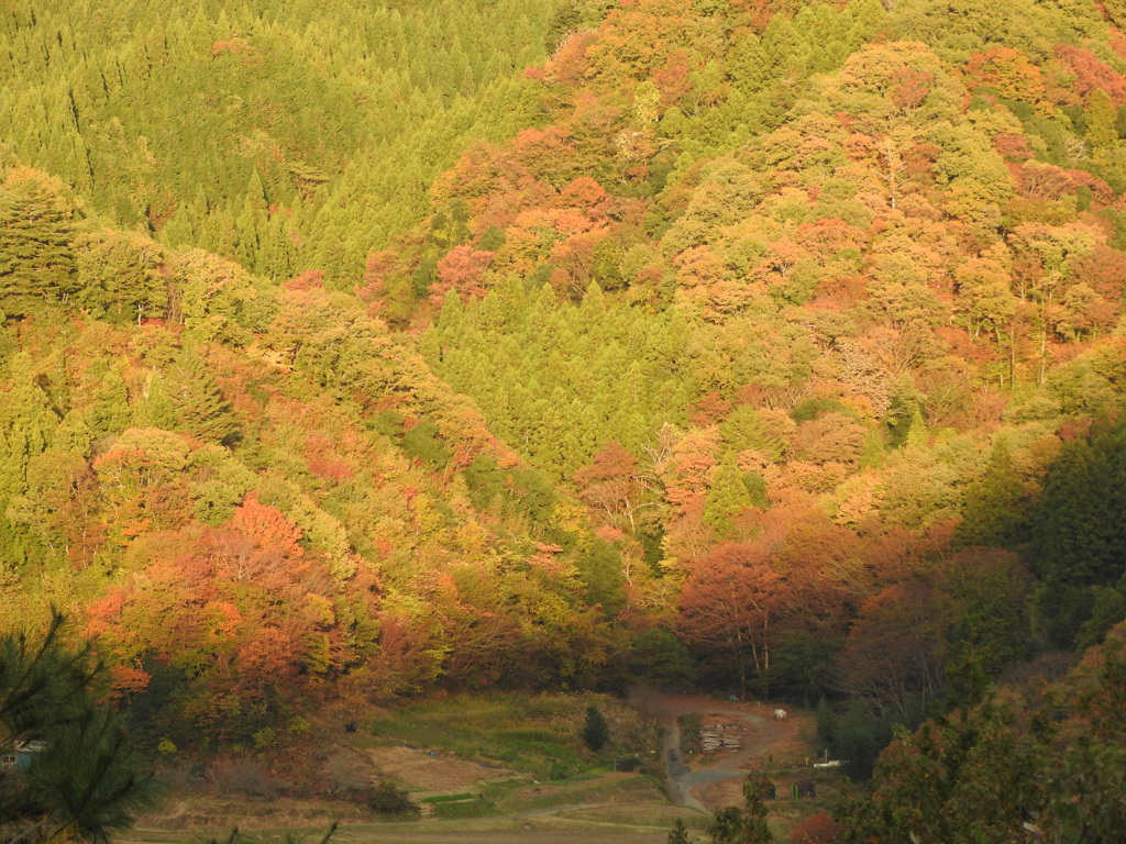 茨城県常陸太田市