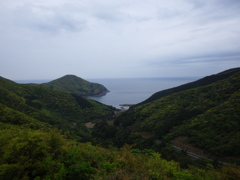 長崎県対馬市 