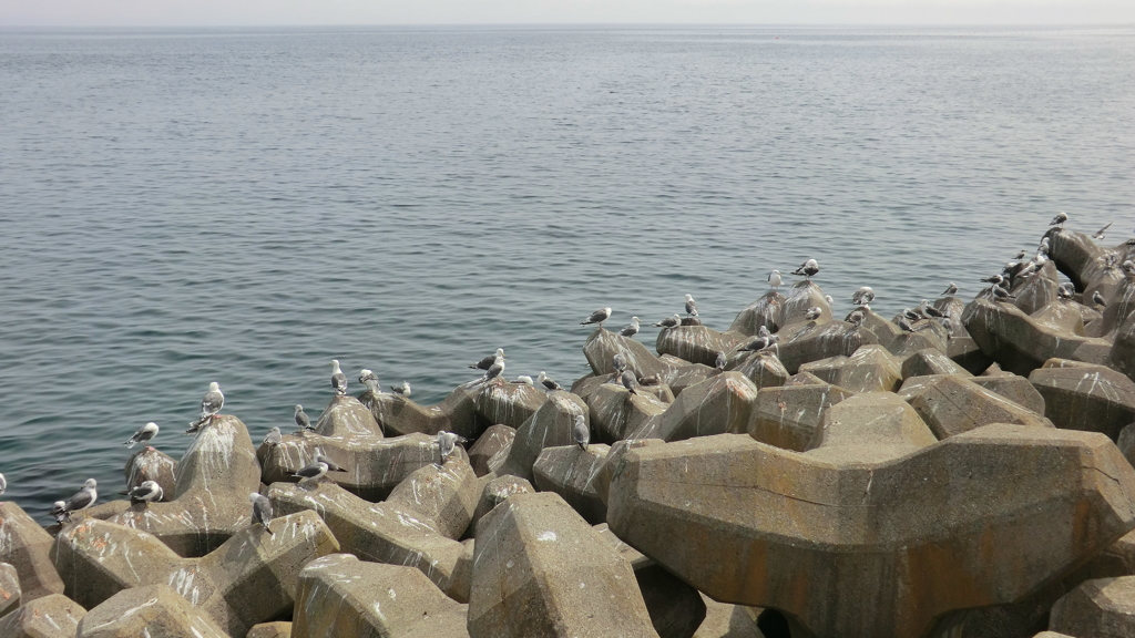  北海道目梨郡羅臼町