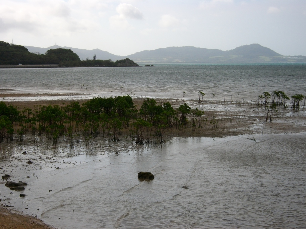 石垣島
