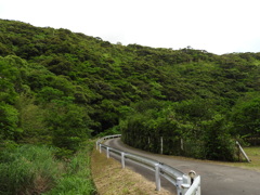 鹿児島県大島郡宇検村