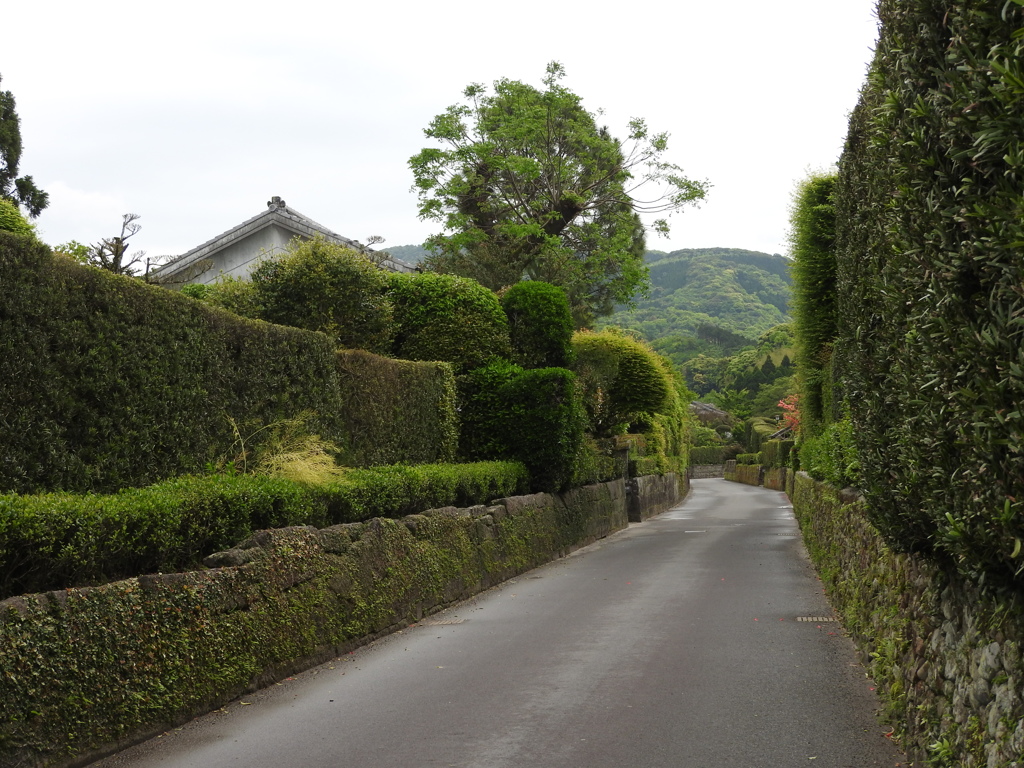 鹿児島県南九州市