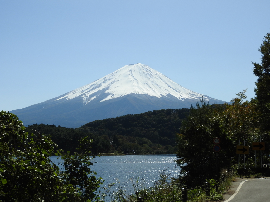 山梨県南都留郡富士河口湖町