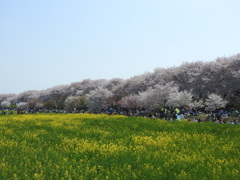 埼玉県幸手市