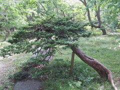 北海道苫前郡羽幌町大字焼尻