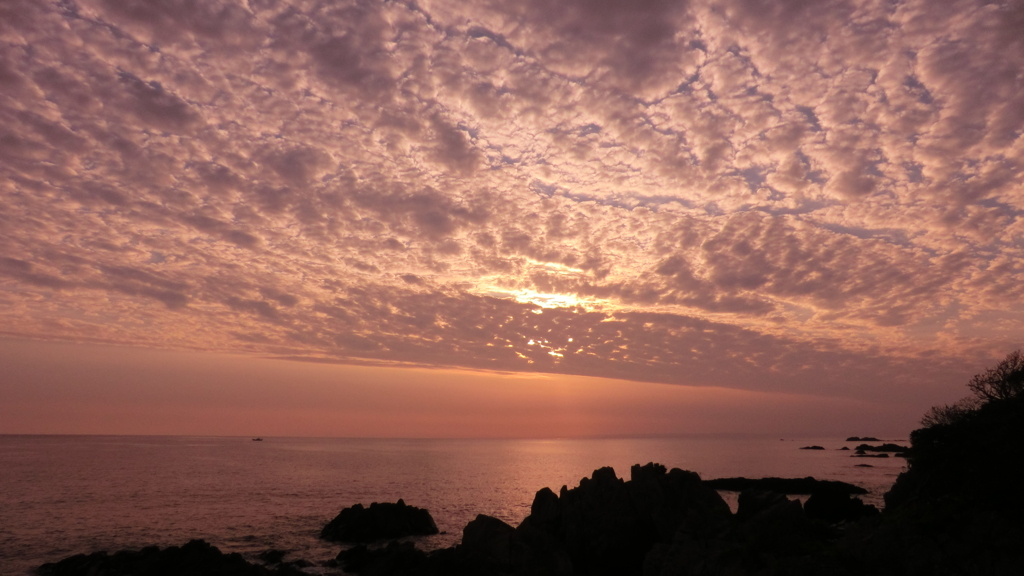 鹿児島県熊毛郡屋久島町