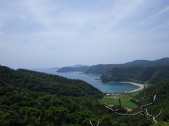 鹿児島県大島郡瀬戸内町
