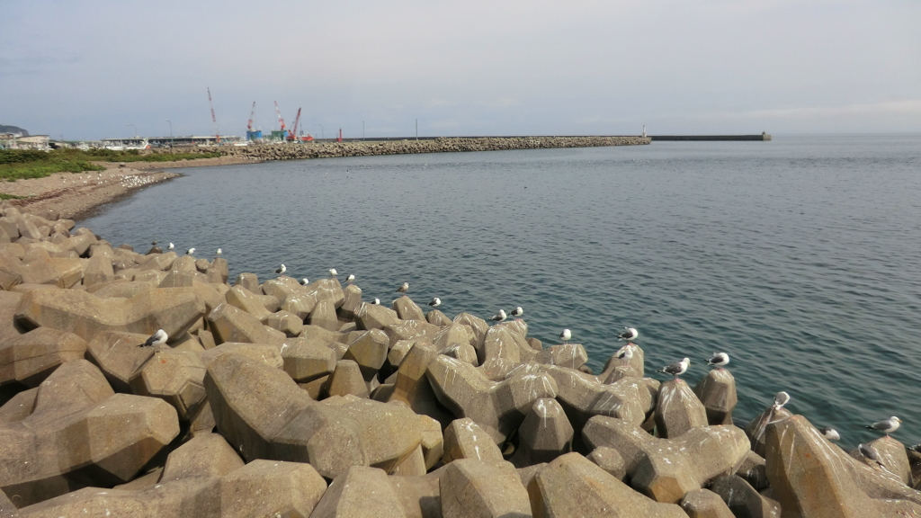  北海道目梨郡羅臼町