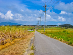 再）沖縄県八重山郡竹富町