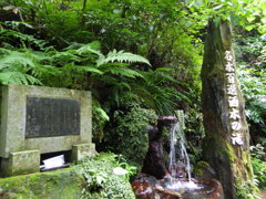 神奈川県足柄上郡山北町