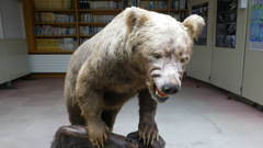 標津サーモン科学館