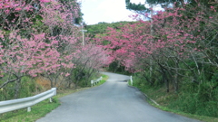 沖縄県島尻郡久米島町