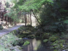 大分県中津市