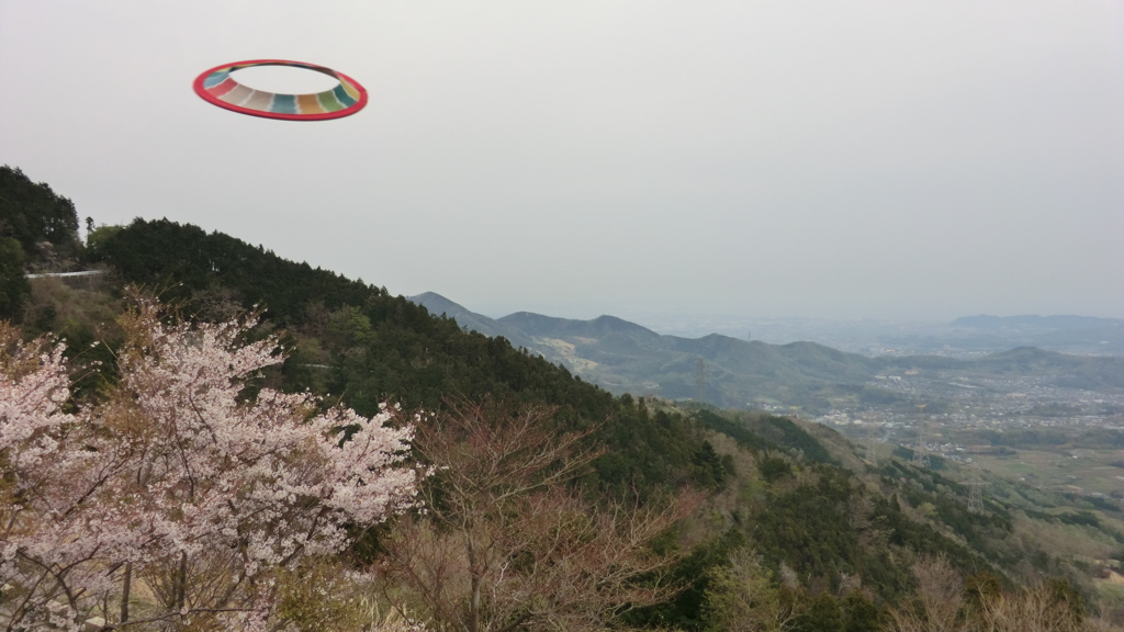 神奈川県秦野市