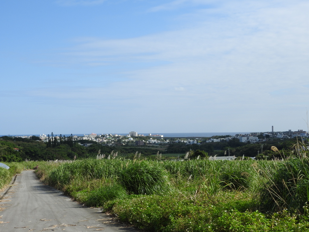 沖縄県島尻郡八重瀬町