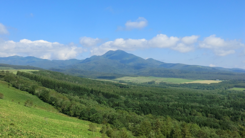 北海道標津郡中標津町