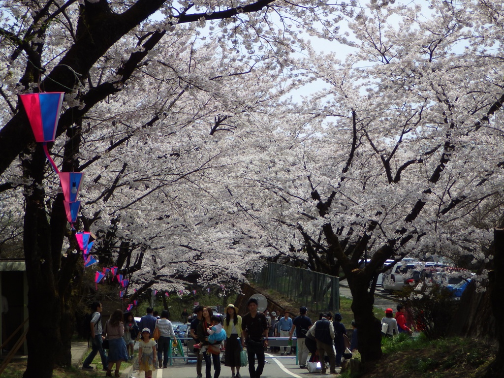 群馬県前橋市