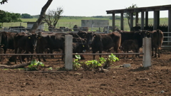 沖縄県八重山郡竹富町