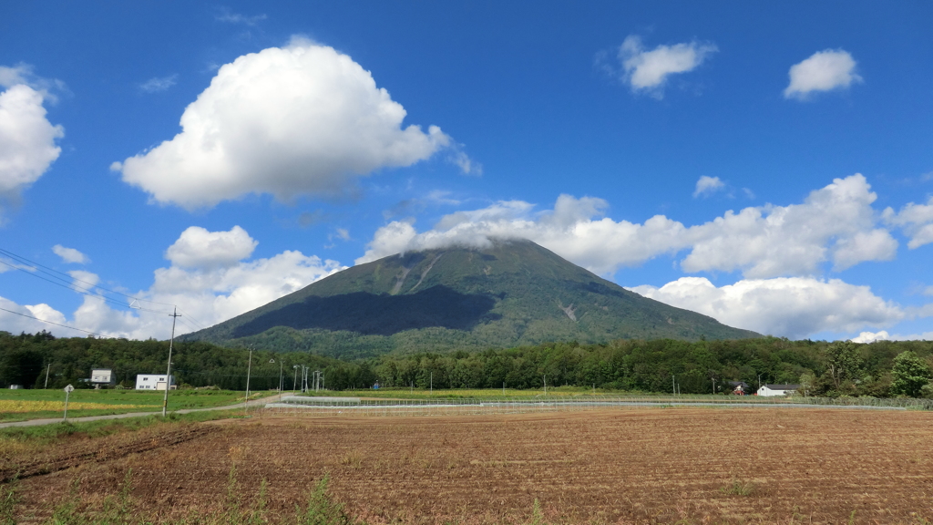 北海道虻田郡真狩村