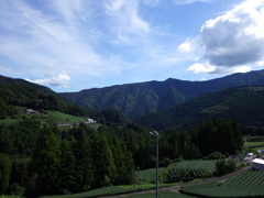 静岡県榛原郡川根本町