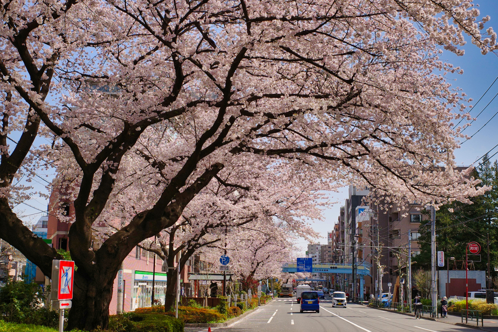 東京都練馬区