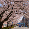 東京都練馬区