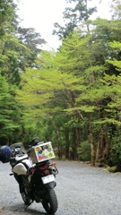 鹿児島県熊毛郡屋久島町