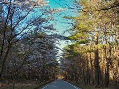 山梨県富士吉田市