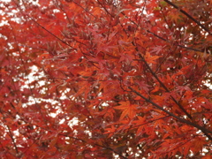 茨城県常陸太田市