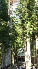 和歌山県伊都郡高野町高野山