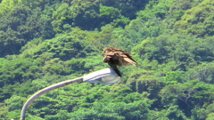 鹿児島県出水郡長島町