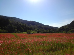 埼玉県秩父郡皆野町