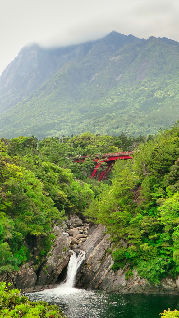 再）鹿児島県熊毛郡屋久島町