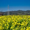 千葉県南房総市